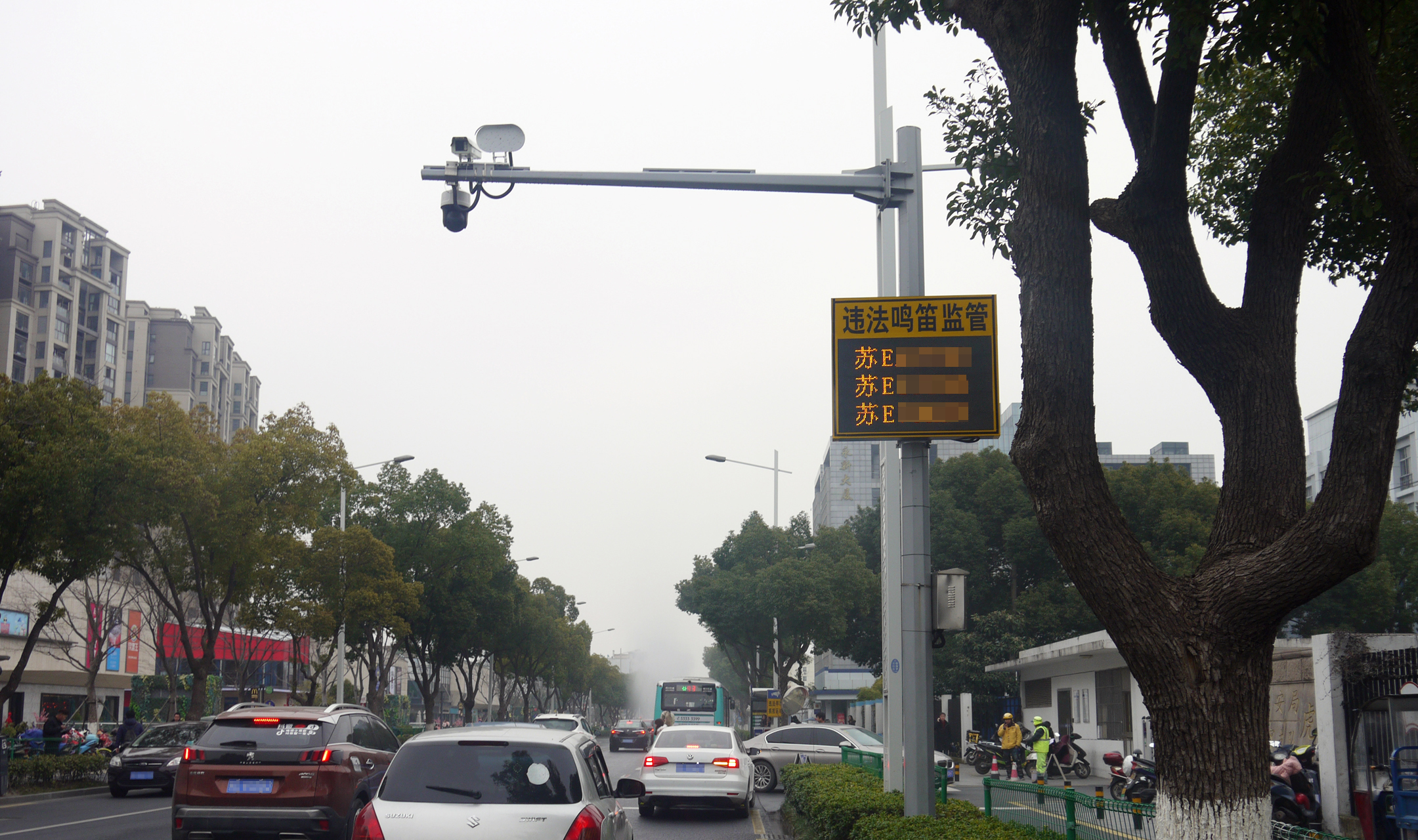 清聽聲學鳴笛抓拍